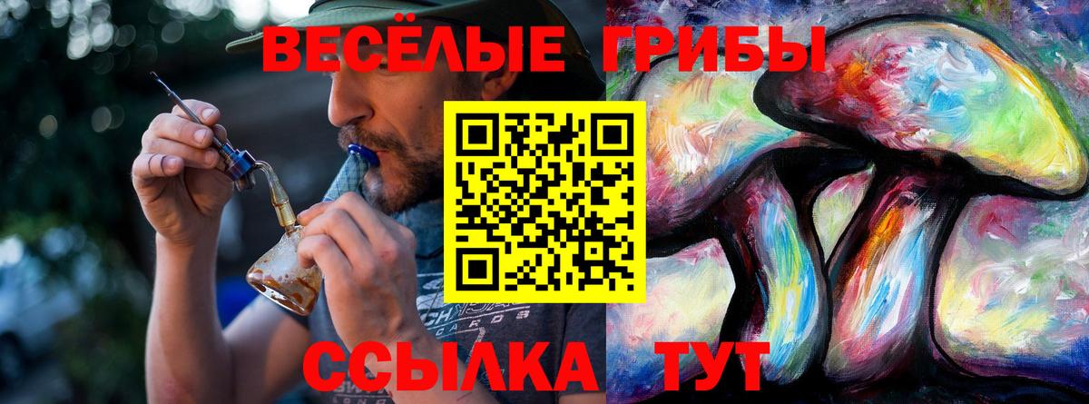 Галлюциногенные грибы Cubensis  Вход с VPN  Псилоцибиновые грибы Magic Shrooms  Мариинск 